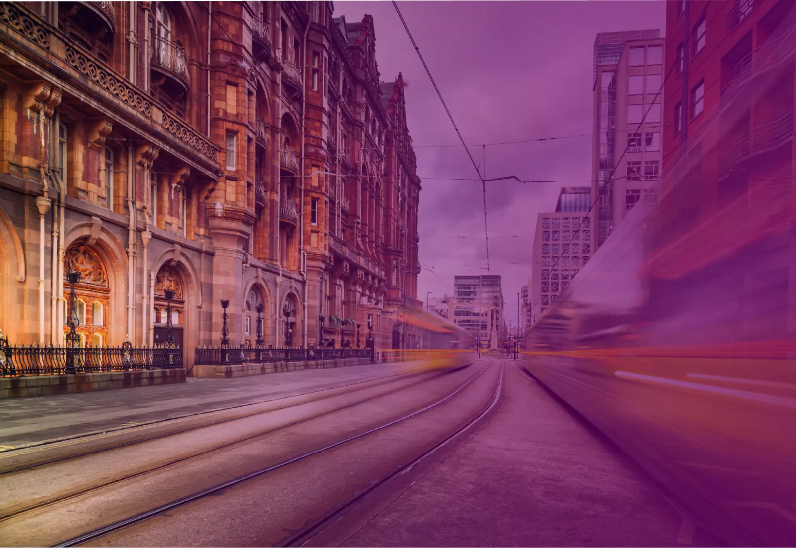 Peninsula team members